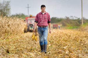 Young farmer