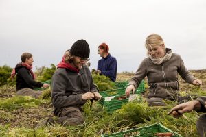 Trainee in agriculture
